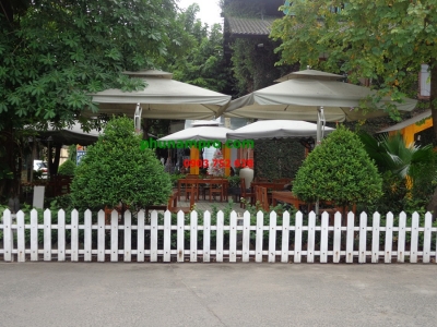 Dù vuông cafe